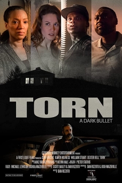 Torn: Dark Bullets