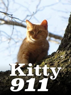 Kitty 911
